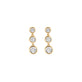 Stone and Strand 10K Yellow Gold Diamonds By The Dozen Gradient Drop Earrings Front Image