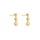 Stone and Strand 10K Yellow Gold Diamonds By The Dozen Gradient Drop Earrings Rear Image