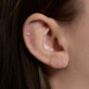 Image of 14K Yellow Gold Luckiest Clover Push Pin Flat Back on Models Ear