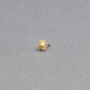 Stone and Strand 14K Yellow Gold Sun Push Pin Flat Back Editorial Image